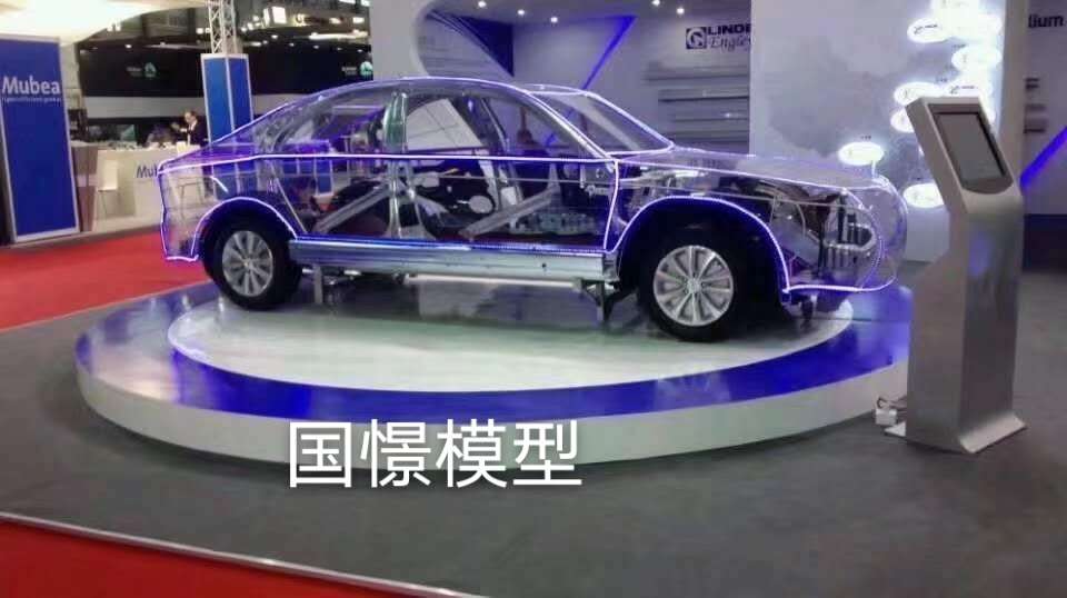 五华县透明车模型